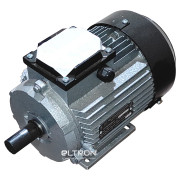 Трифазний асинхронний двигун АИР 100 L2 У2 ІМ1081 / 5,5 кВт / 3000 об/хв міні-фото