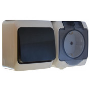 Блок АСКО-УКРЕМ 2P316-3-B3-1-IP44N из одноклавишного выключателя и розетки с заземлением мини-фото