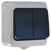 Выключатель АСКО-УКРЕМ B310-2-IP44N двухклавишный мини-фото