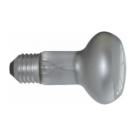 Лампа розжарювання E.NEXT e.lamp.r63.e27.25.frost R63 матова 25Вт цоколь Е27 (l005035) фото