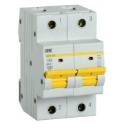 Автоматический выключатель IEK ВА47-150 2P 63А тип C 15кА мини-фото